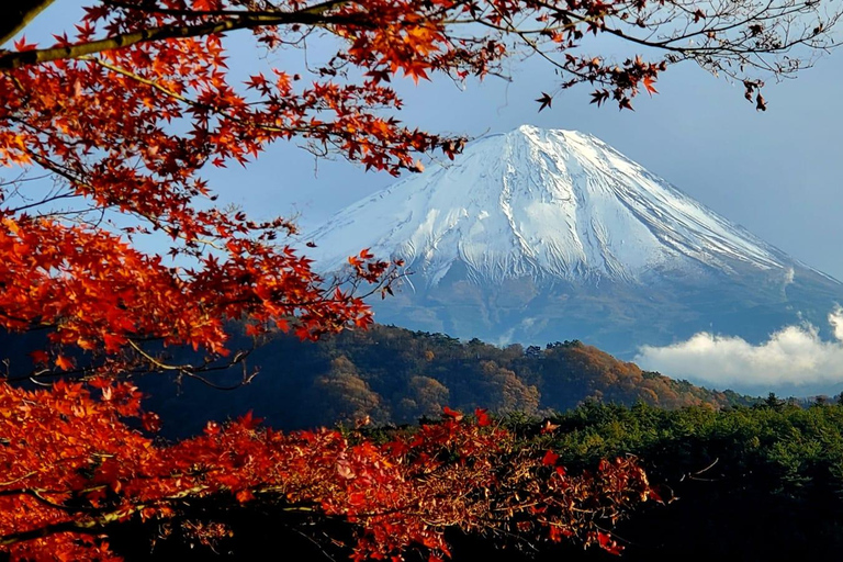 Mount Fuji Full-Day Private Tour from Yokohama Customizable
