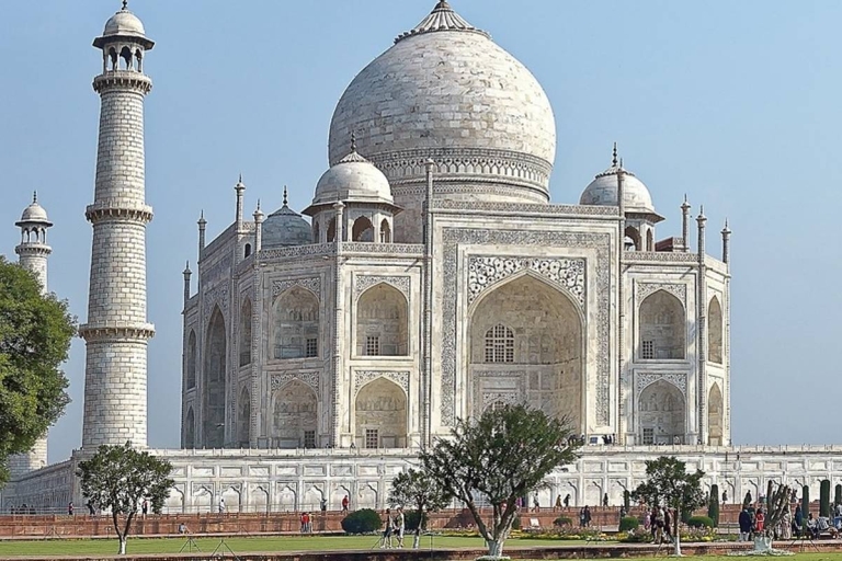 "La Hora Dorada en el Taj: Una delicia al amanecer en AgraDesde Delhi: Tour Privado del Amanecer del Taj Mahal y el Fuerte de Agra