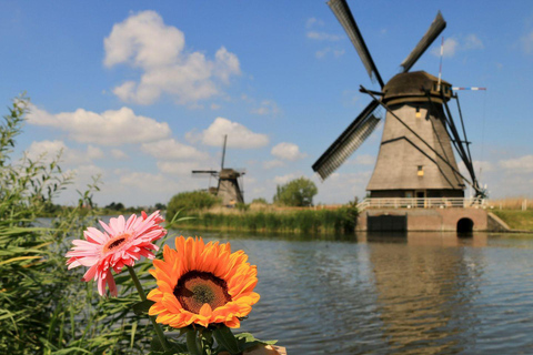 Waterbus: Rotterdam, Kinderdijk, Dordrecht Tix & Audio Tours