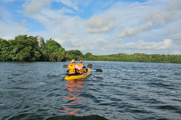 Hikkaduwa: Rathgama Lagoon Kayaking and Fish Therapy Tour