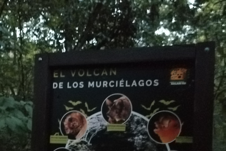 Bacalar: Calakmul ruins, jungle path & stop at the bat cave. Bacalar: Calakmul ruins tour jungle and the bat volcano..