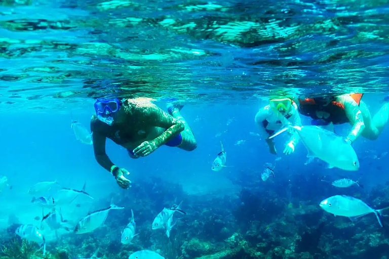 Punta Cana: Catalina Island Day Trip with Snorkeling