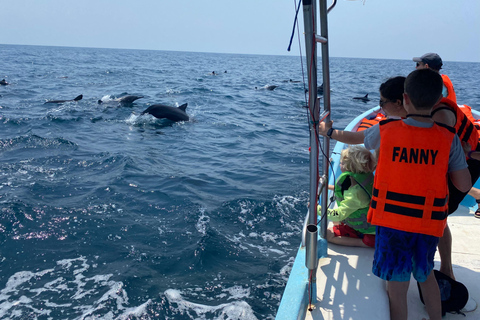 Puerto Escondido: Bootstour zu Delfinen und MeerestierenPrivate Tour