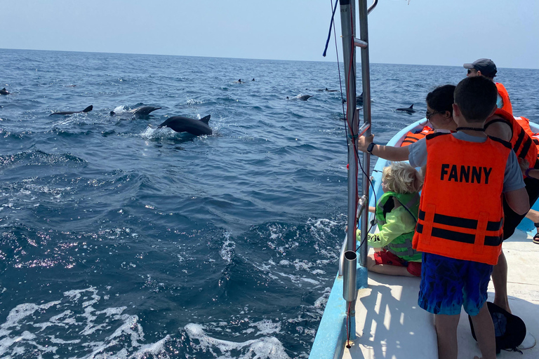 Puerto Escondido: Bootstour zu Delfinen und MeerestierenPrivate Tour