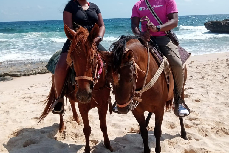 Visite privée du parc national d'Aruba Arikok et de l'équitation sur la plagePlage d'équitation et parc national d'Arikok