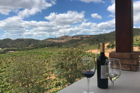 Desde Albufeira: tour de cata de vinos y visita a Silves