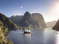 Desde Queenstown, Premium Dudous Sound Wilderness viaje de un día - Hizvo