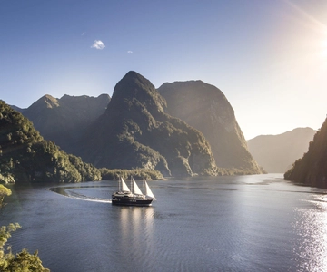 From Queenstown: Doubtful Sound Wilderness Day Trip