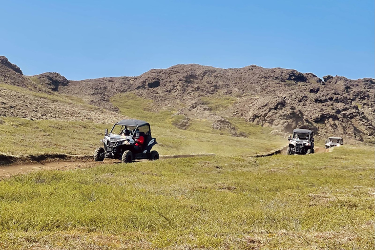 Mývatn: Lake Mývatn ATV guidad safariupplevelse