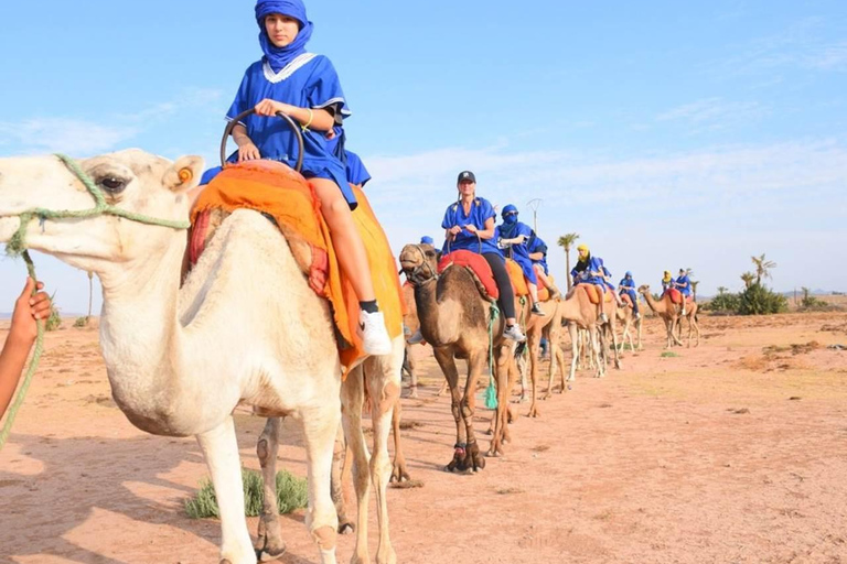 Paseo en camello por la Palmeraie de Marrakech