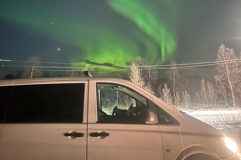 Aurora Borealis Minibus Tour – Torneträsk & Arctic Adventure