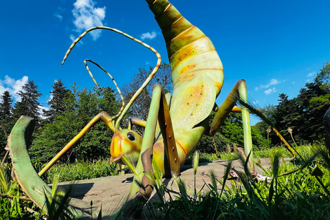 Giant Bugs Interactive Exhibition Entry Ticket