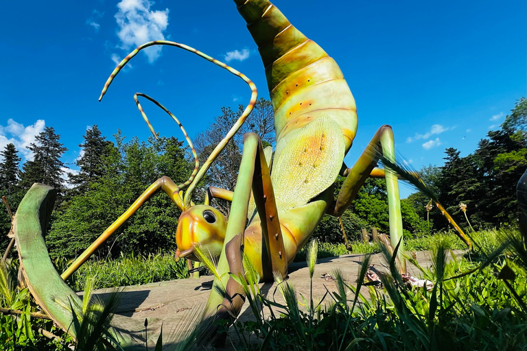 Giant Bugs Interactive Exhibition Entry Ticket
