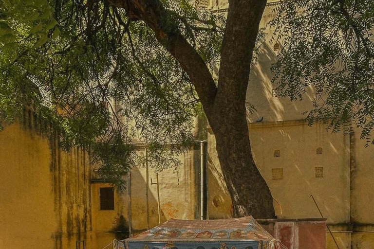 Jaipur Shopping Experience with Female Shopping Expert Shopping Tour: with Car + Guide