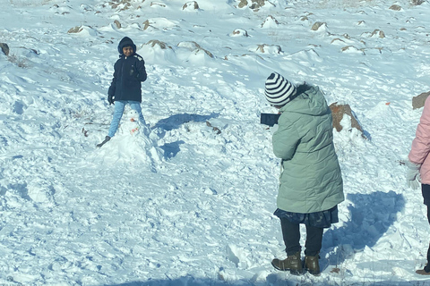 阿拉加茨山全天雪地体验之旅（含导游）