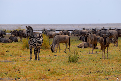 Viaggio di due giorni al Lago Manyara con canoa e passerella tra le cime degli alberiCampeggio a Karatu