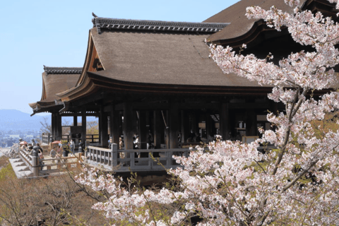 Kyoto & Nara: Guided Walking Tour with Deer Encounter