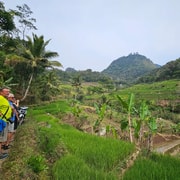 Yogyakarta ;Umbul Temple Grabag And Selogriyo Rice Terraces.