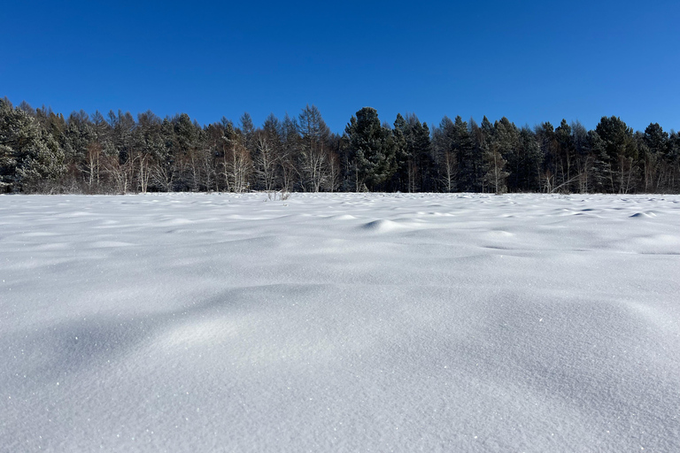 Sanzai: Selbe River Reservoir Hike with Lunch