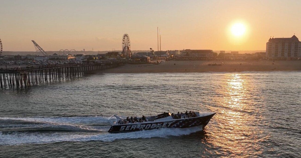 ocean city md dolphin cruise