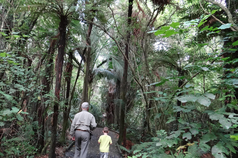 Wellington: Kapiti Coast Tour with Lunch and Entry Fees