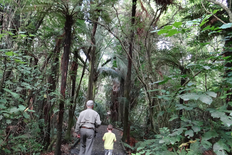 Wellington: Kapiti Coast Tour with Lunch and Entry Fees