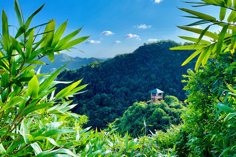 Cat Ba: Half Day Trekking to Visit Cat Ba National Park