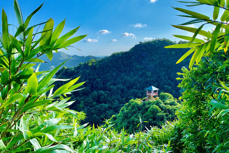 Cat Ba: Half Day Trekking to Visit Cat Ba National Park