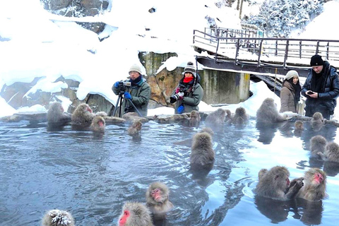 From Tokyo: Nagano Day Trip with Snow Monkey Park