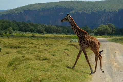 Excursión de un día al Monte Longonot desde Nairobi