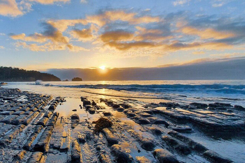 Hobart: 3-Day Tour of Bruny Island and Port Arthur