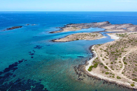 From Stintino: Asinara Sailboat Tour with Lunch Sailboat Tour and Lunch with 11 Seats