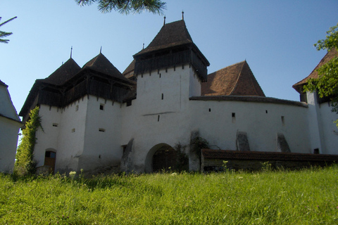 Brasov: Saxon Fortified Churches Day Tour with Guide