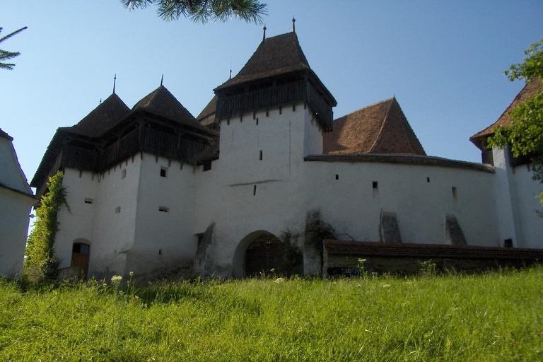Brasov: Saxon Fortified Churches Day Tour with Guide