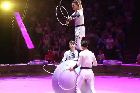 Combinaison d'acrobaties et de spectacles d'opéra à Pékin