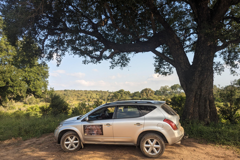 Mid-High end 5 dagars all-inclusive Kruger &amp; Pano Tour från JHB