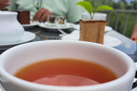 Tour gastronomico in Sri Lanka