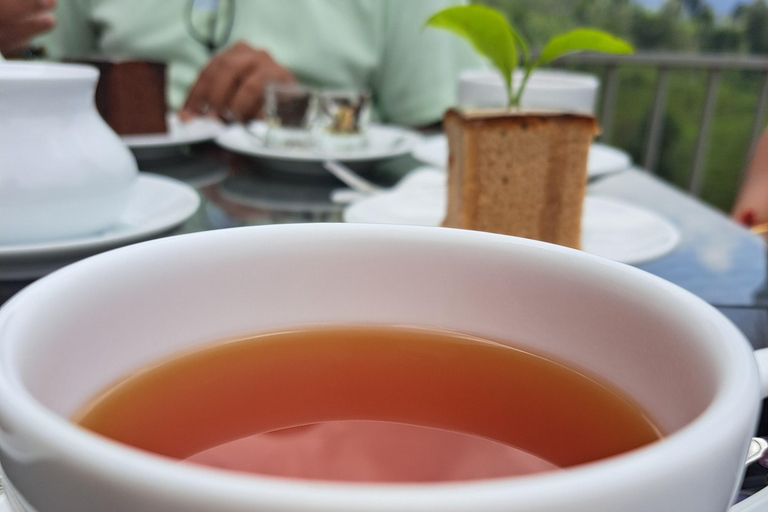 Tour gastronomico in Sri Lanka