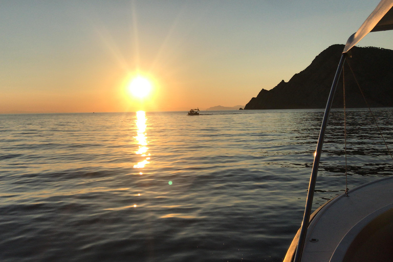 Esclusivo tour di un giorno delle Cinque Terre in traghetto con sosta a Pisa