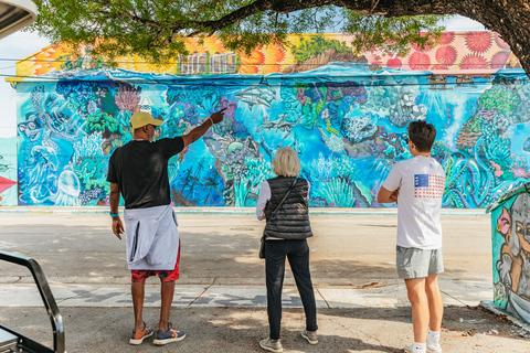 Wynwood Art District 1-Hour Street Art Tour by Golf Buggy