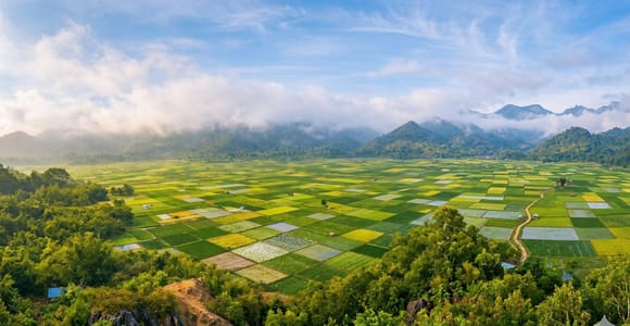 Sendang Gila And Tiu Kelep Waterfalls, Monkey Forest Tours