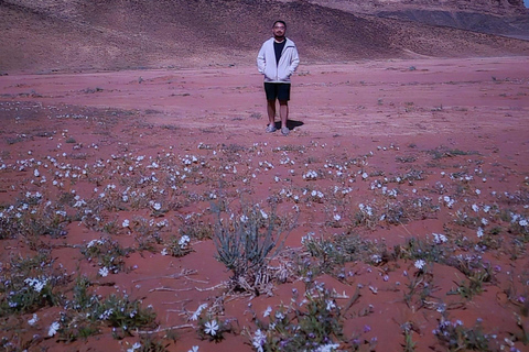 Wadi Rum All in One Day – The Ultimate Desert Discovery Wadi Rum All in One Day – The Ultimate Desert Discovery