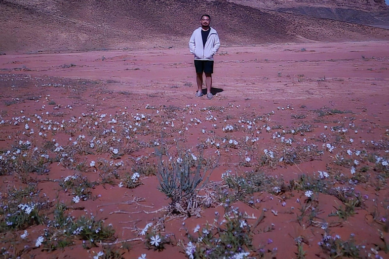 Wadi Rum All in One Day – The Ultimate Desert Discovery Wadi Rum All in One Day – The Ultimate Desert Discovery