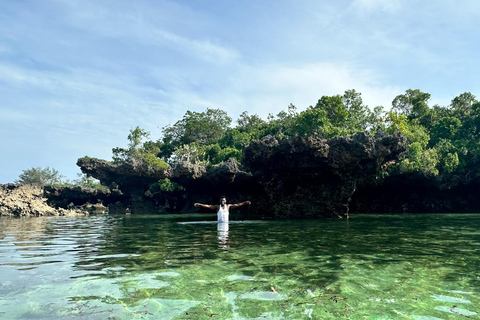 Zanzibar: Excursão privada Safar blue com almoço numa ilha privada