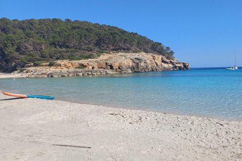Speedboat sightseeing tour with a swim included around Menorca's famous coves. Speedboat tour with swim stop included through the famous coves of Menorca.