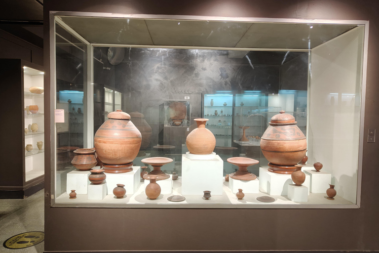 Delhi: Tour del Museo Nazionale