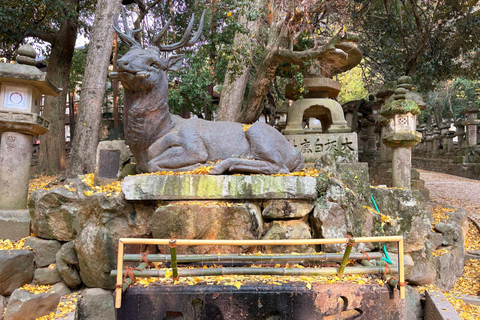 Private Nara Early Bird Tour from Kyoto