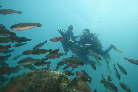 Tenerife: PADI Discovery Scuba Diving in Los Cristianos