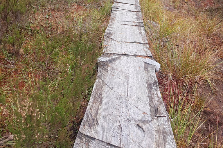 Oslo: Østmarka National Park Guided Hike with Food over Fire