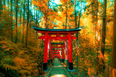 Kyoto & Nara: Private Cultural Journey with Guide & Pickup